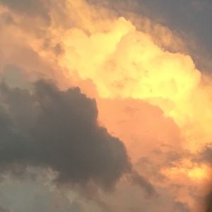 Meet your Posher, Cassie